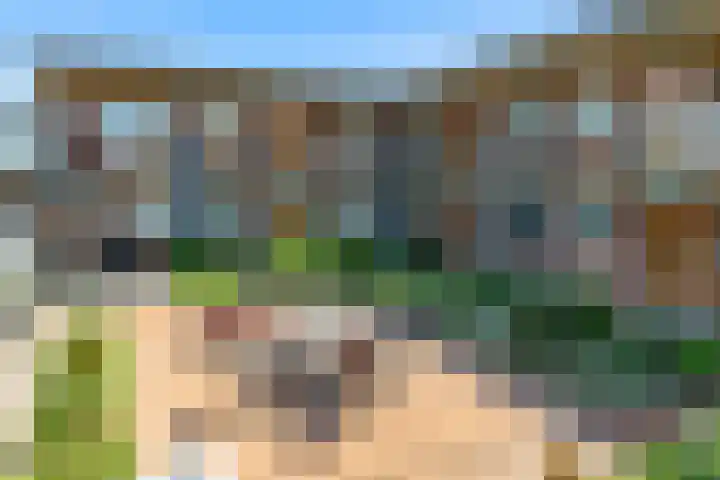Het Palet 6 Limmen thumbnail 32