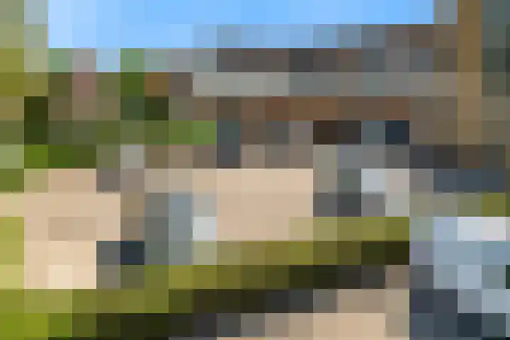 Het Palet 6 Limmen thumbnail 33