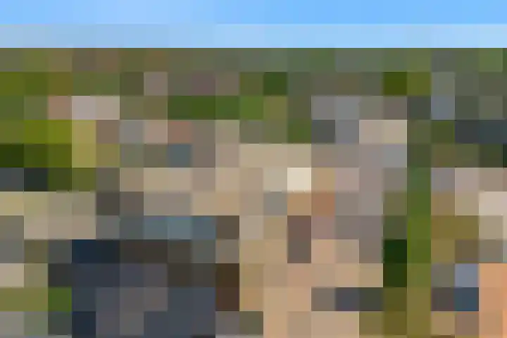 Het Palet 6 Limmen thumbnail 37