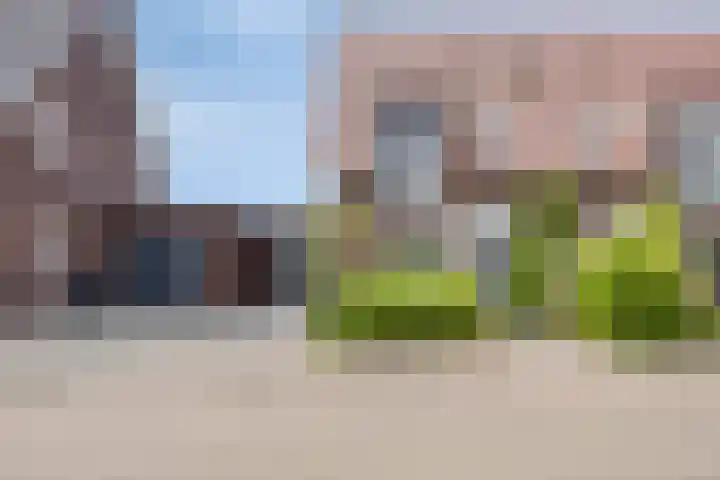 Het paradijs 12 Haren