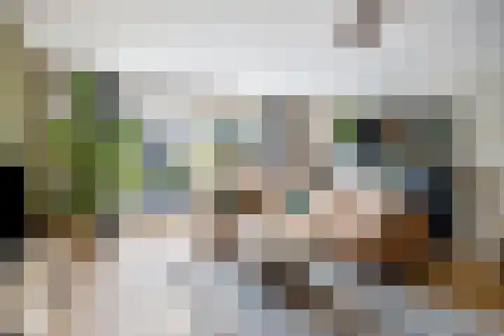 Het paradijs 12 Haren thumbnail 11