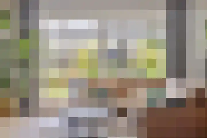 Het paradijs 12 Haren thumbnail 12