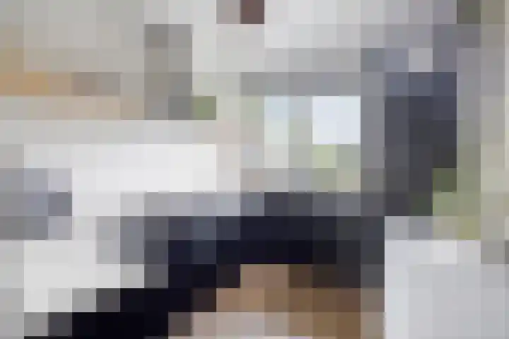 Het paradijs 12 Haren thumbnail 15