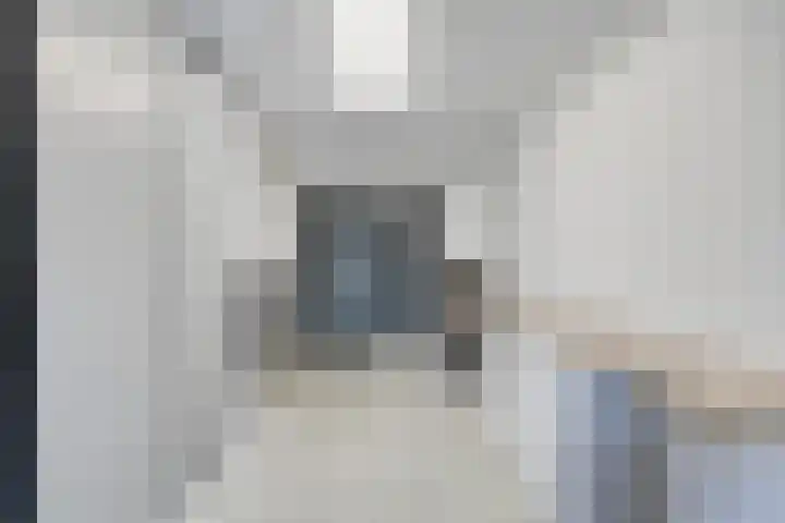 Het paradijs 12 Haren thumbnail 18