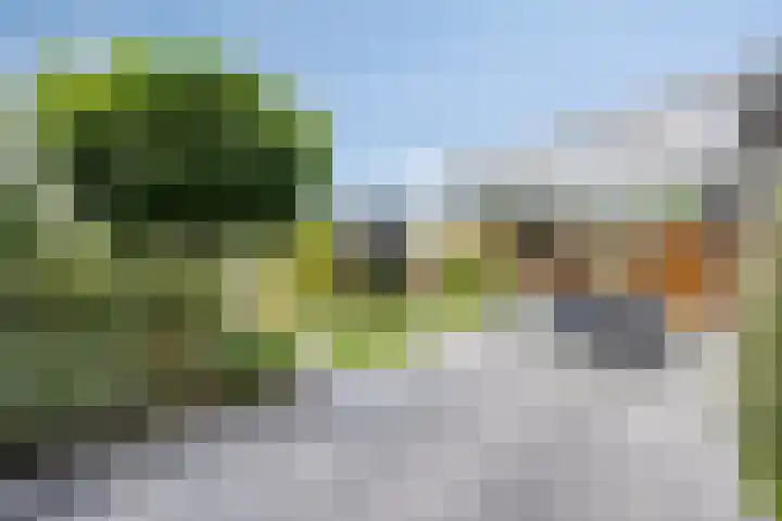 Het paradijs 12 Haren thumbnail 20