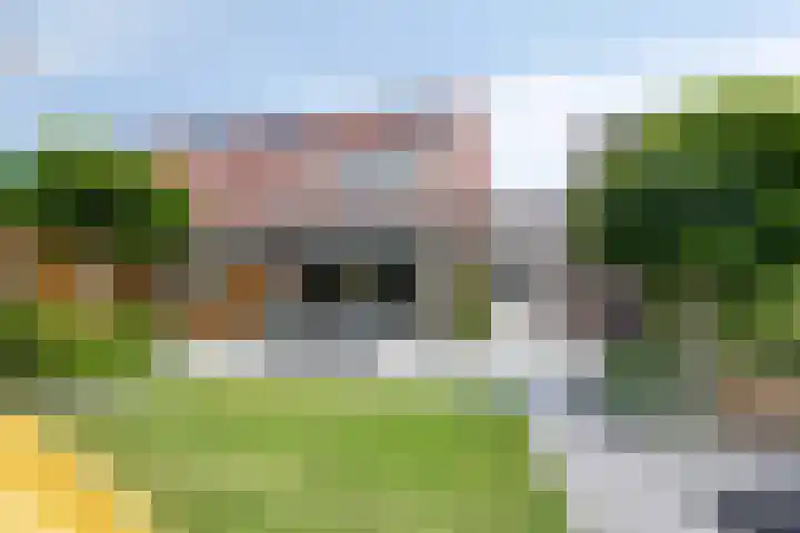 Het paradijs 12 Haren thumbnail 23