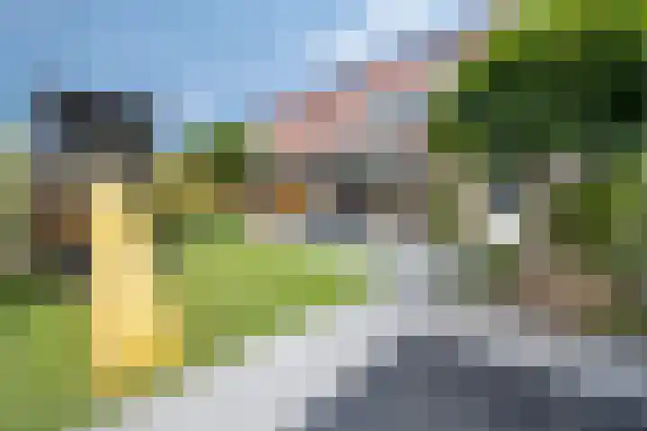 Het paradijs 12 Haren thumbnail 24