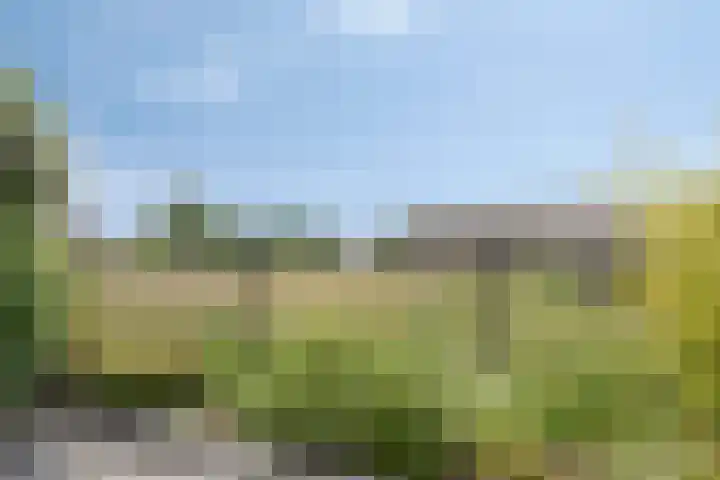 Het paradijs 12 Haren thumbnail 25