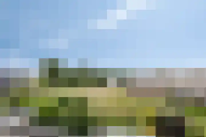 Het paradijs 12 Haren thumbnail 32