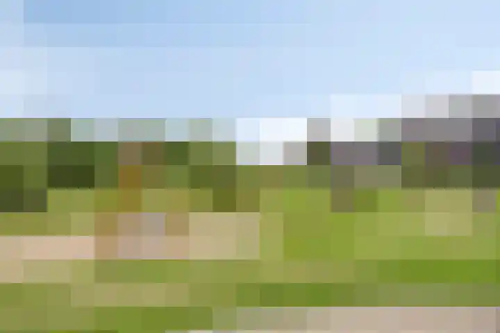 Het paradijs 12 Haren thumbnail 43