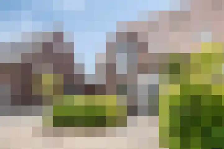Het paradijs 12 Haren thumbnail 6