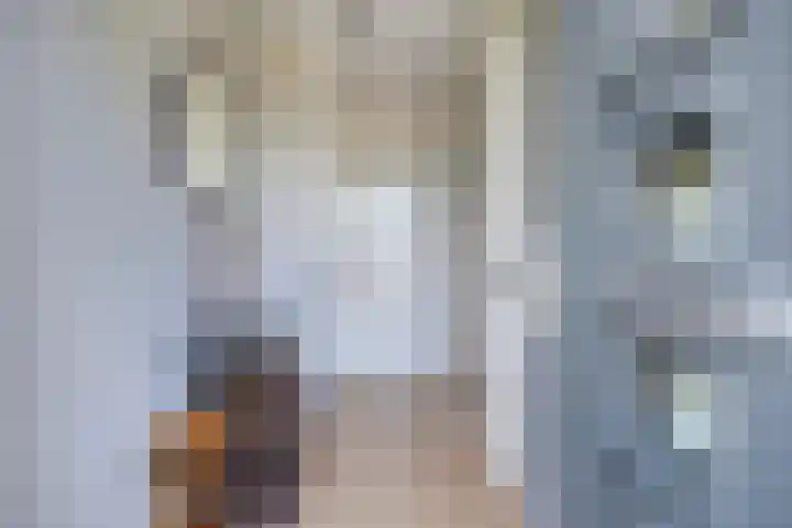 Het paradijs 12 Haren thumbnail 7