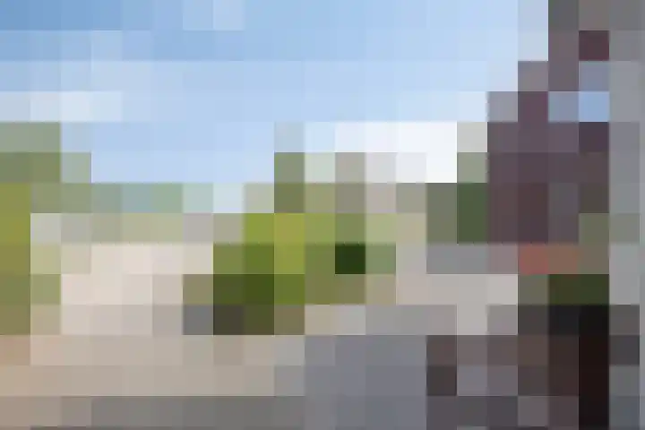 Het paradijs 12 Haren thumbnail 8