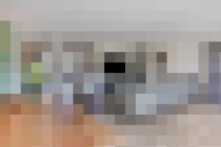 Het paradijs 24 Haren thumbnail 10