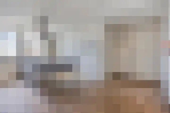 Het paradijs 24 Haren thumbnail 15