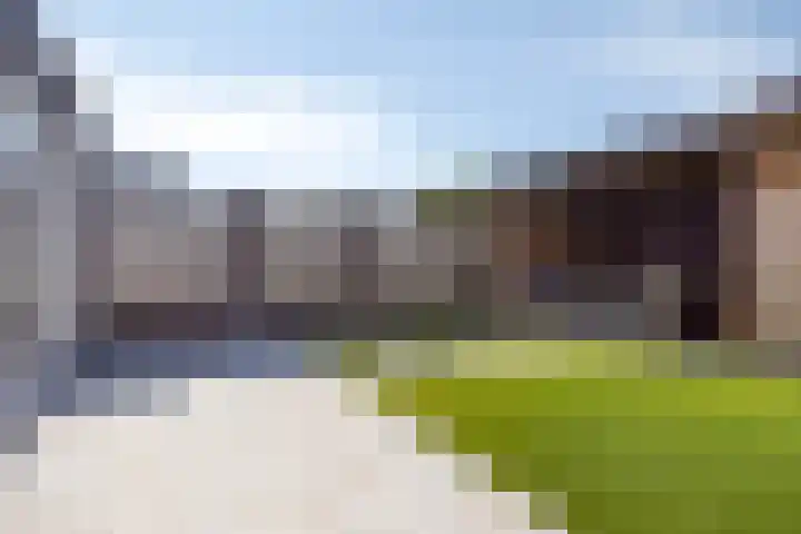 Het paradijs 24 Haren thumbnail 32