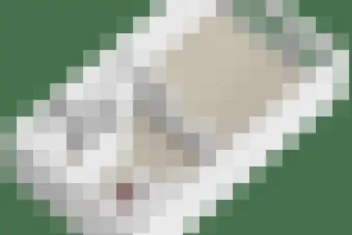 Het paradijs 24 Haren thumbnail 45