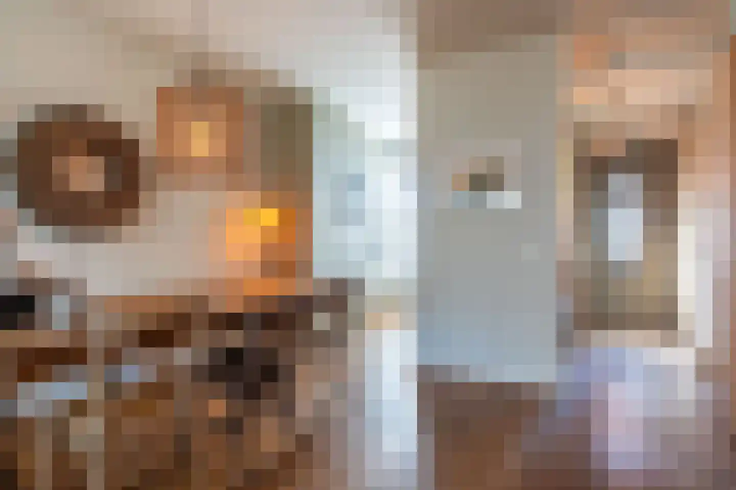 Het Patronaat 12 Aarle-Rixtel thumbnail 22