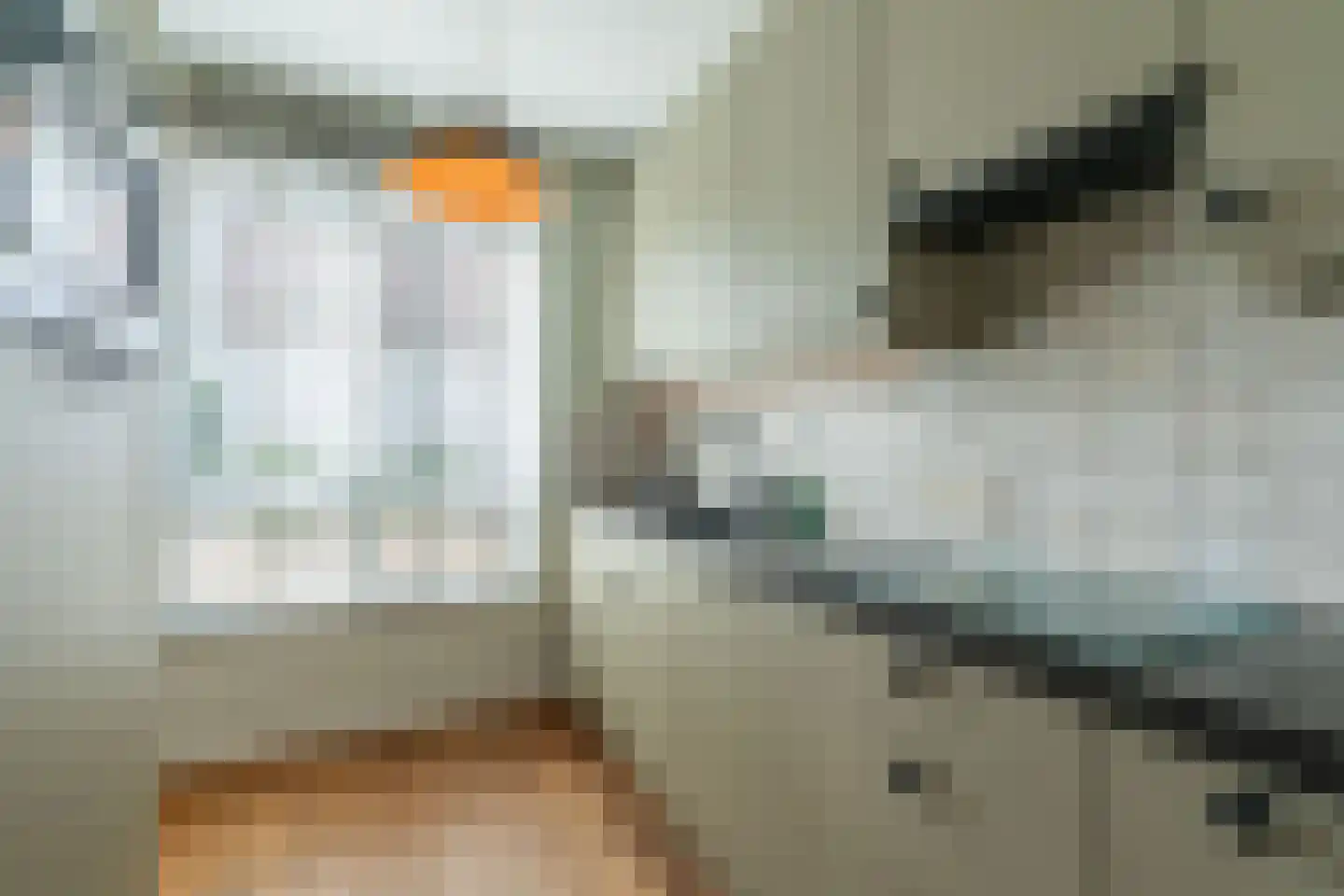 Het Patronaat 12 Aarle-Rixtel thumbnail 28