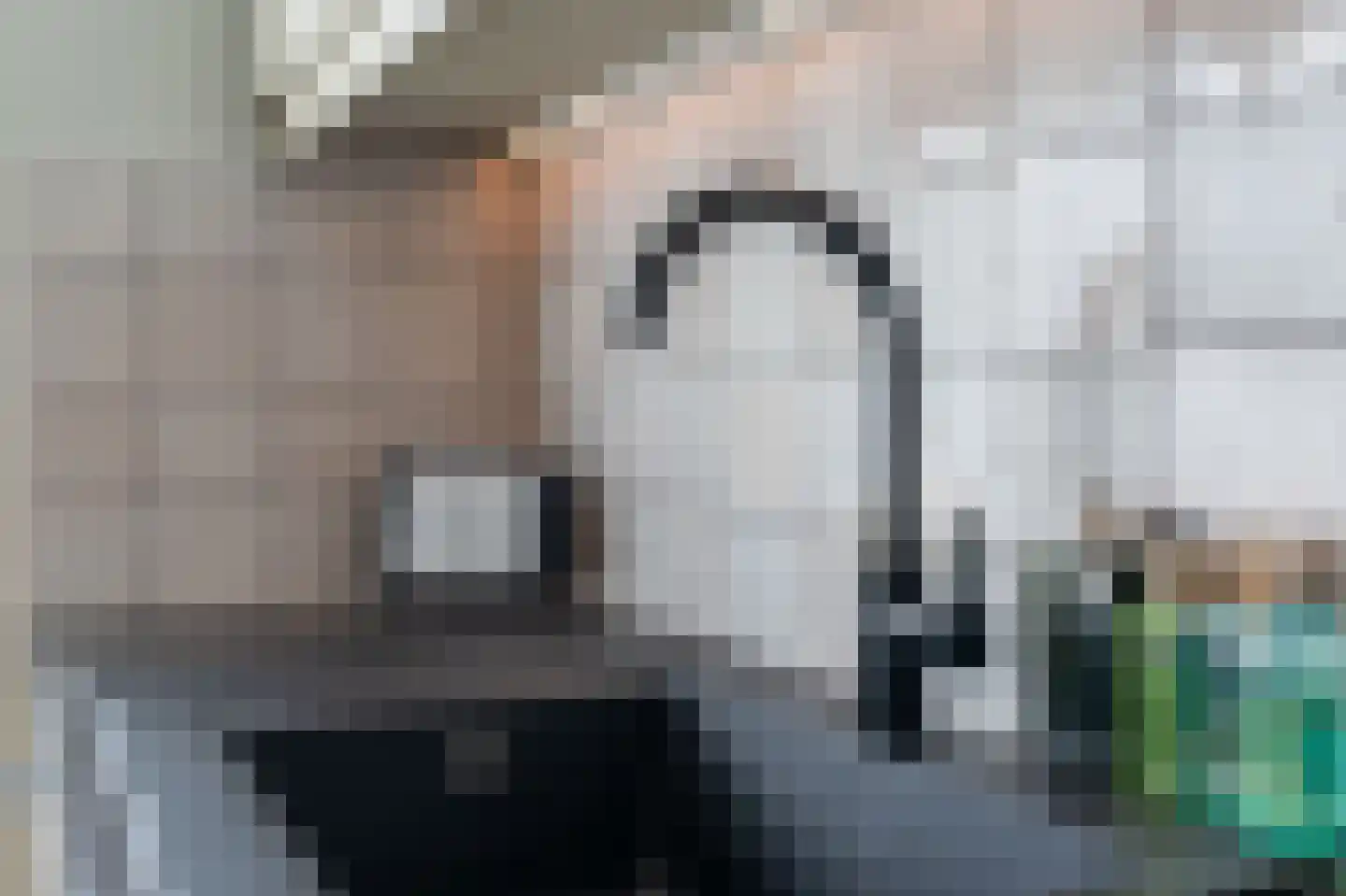 Het Patronaat 12 Aarle-Rixtel thumbnail 31