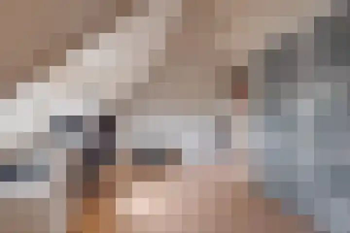 Het Patronaat 21 Borculo thumbnail 24