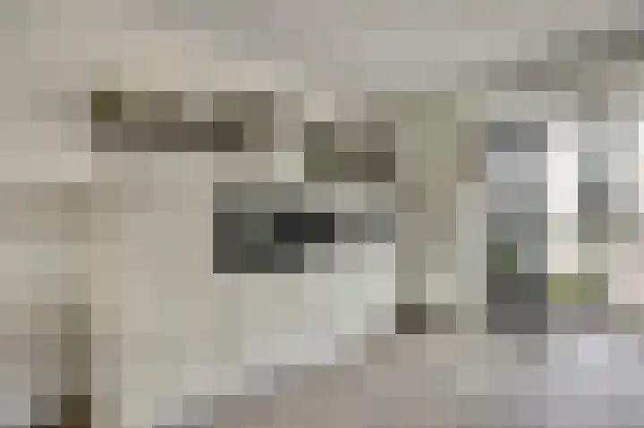 Het Penseel 1 Dronten thumbnail 10