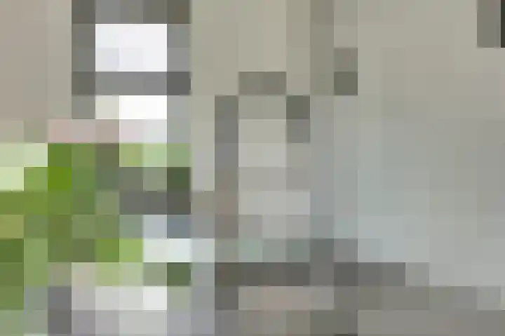 Het Penseel 1 Dronten thumbnail 12
