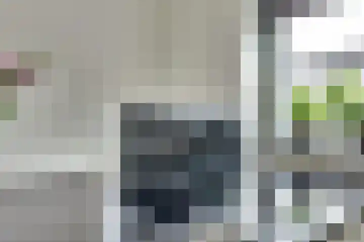 Het Penseel 1 Dronten thumbnail 13