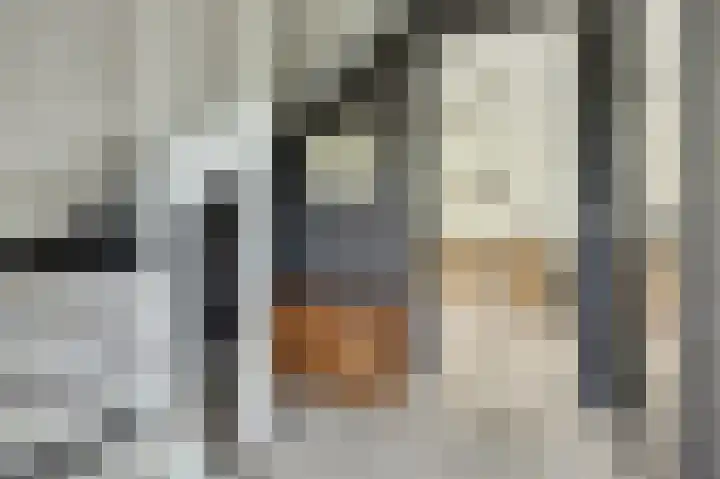 Het Penseel 1 Dronten thumbnail 15