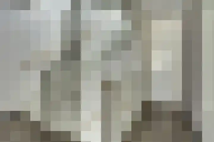 Het Penseel 1 Dronten thumbnail 17