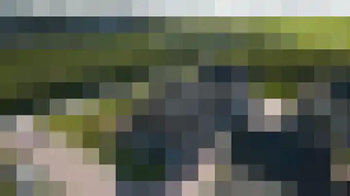 Het Penseel 1 Dronten foto 2