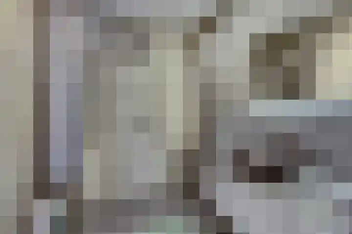 Het Penseel 1 Dronten thumbnail 26