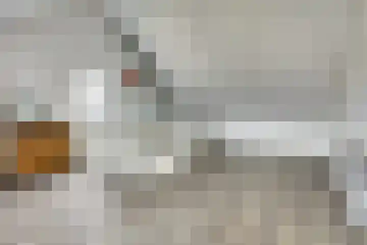 Het Penseel 1 Dronten thumbnail 28