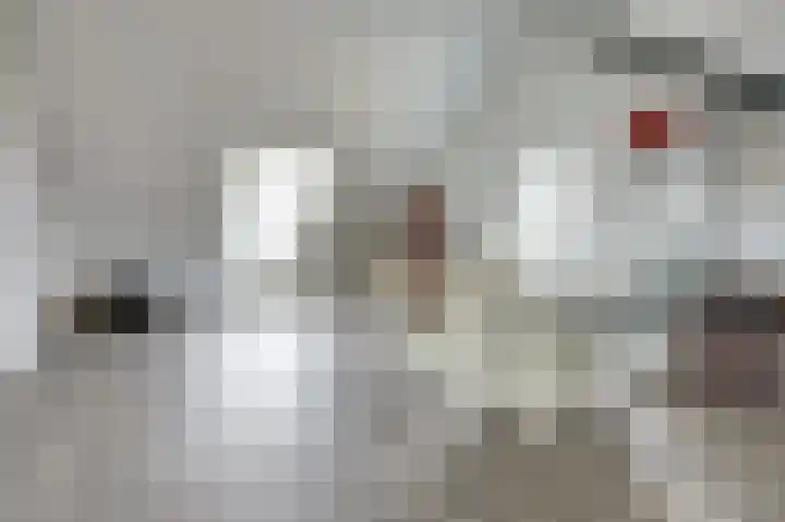 Het Penseel 1 Dronten thumbnail 29