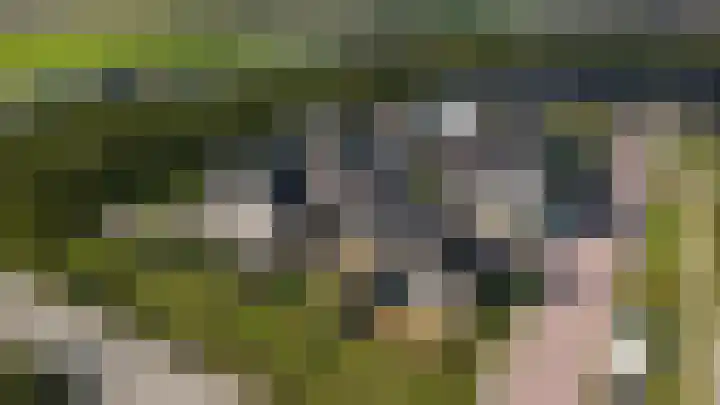 Het Penseel 1 Dronten foto 3