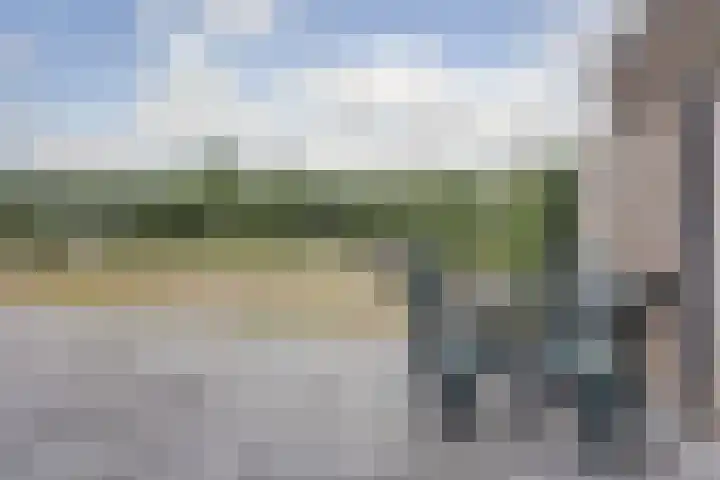 Het Penseel 1 Dronten thumbnail 31