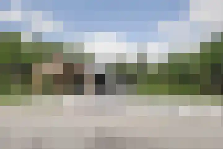 Het Penseel 1 Dronten thumbnail 35