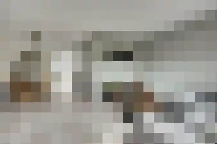 Het Penseel 1 Dronten thumbnail 4