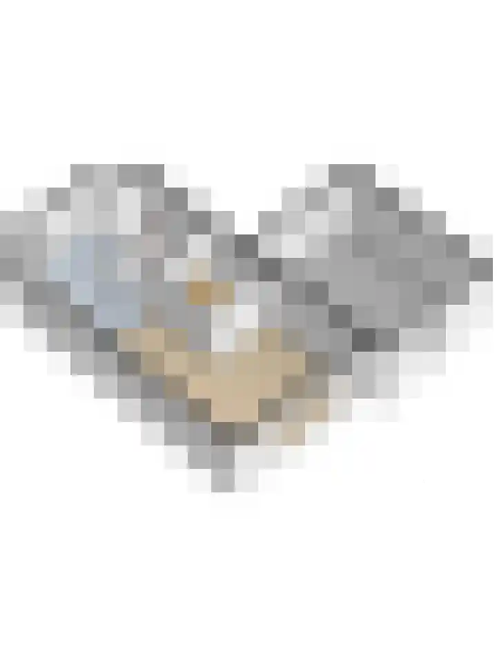 Het Penseel 1 Dronten thumbnail 43
