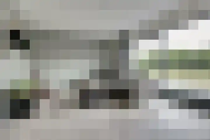 Het Penseel 1 Dronten thumbnail 5