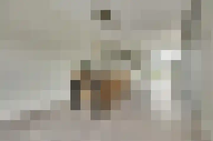 Het Penseel 1 Dronten thumbnail 6