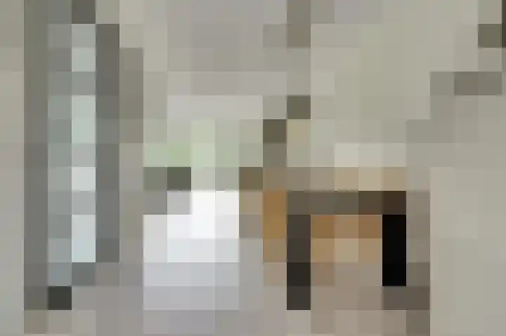 Het Penseel 1 Dronten thumbnail 7