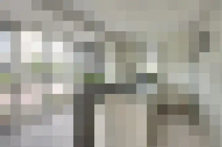 Het Penseel 1 Dronten thumbnail 8