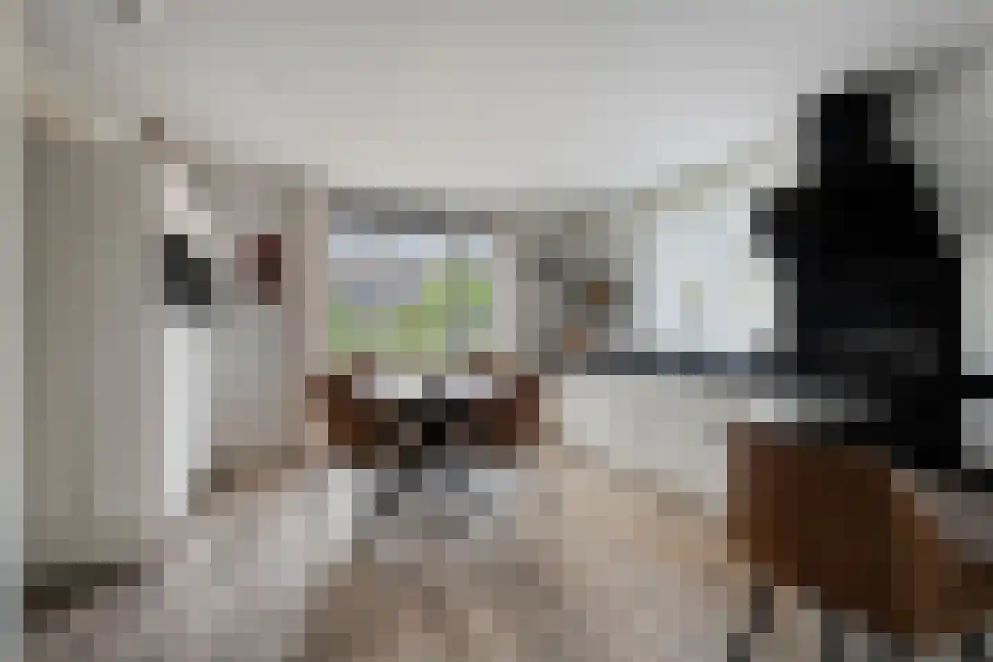 Het Penseel 29 Dronten thumbnail 12