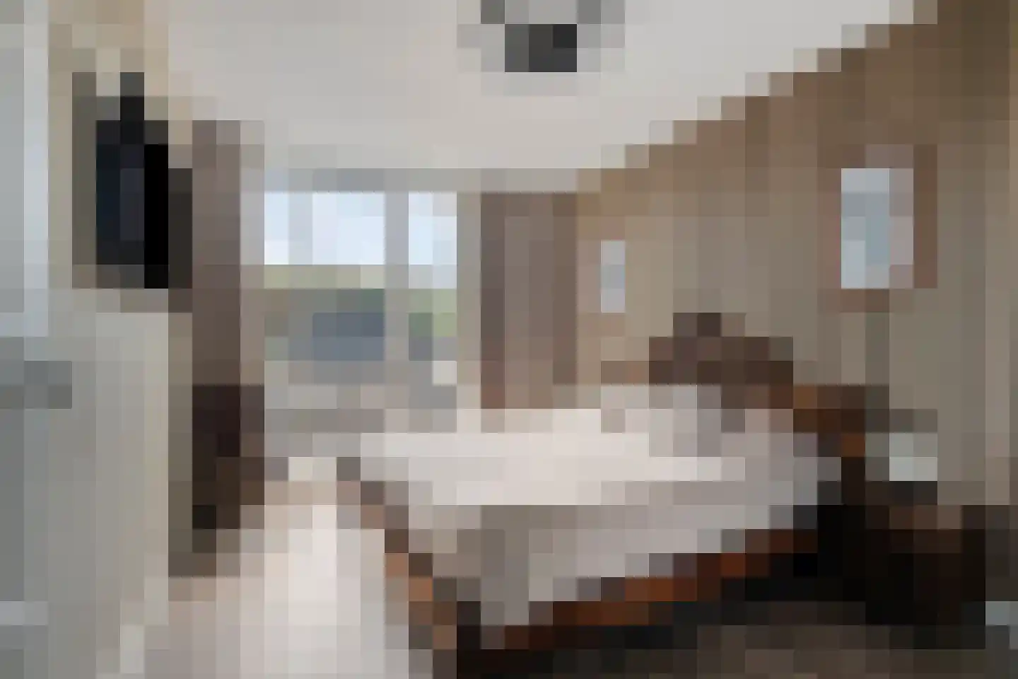 Het Penseel 29 Dronten thumbnail 23
