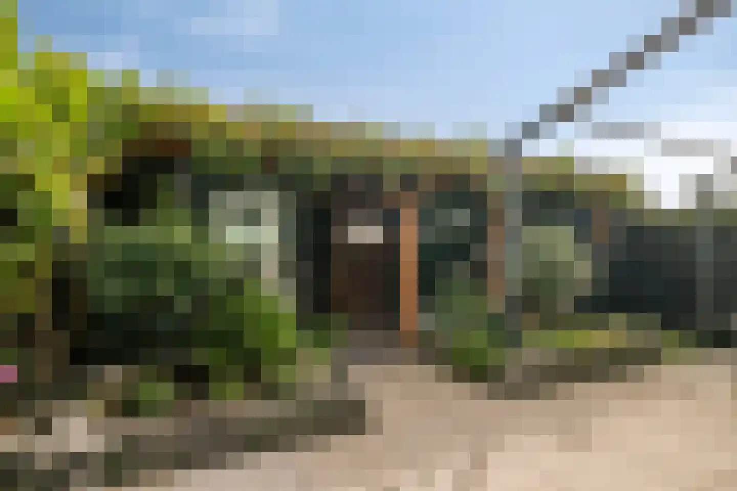 Het Penseel 29 Dronten thumbnail 41