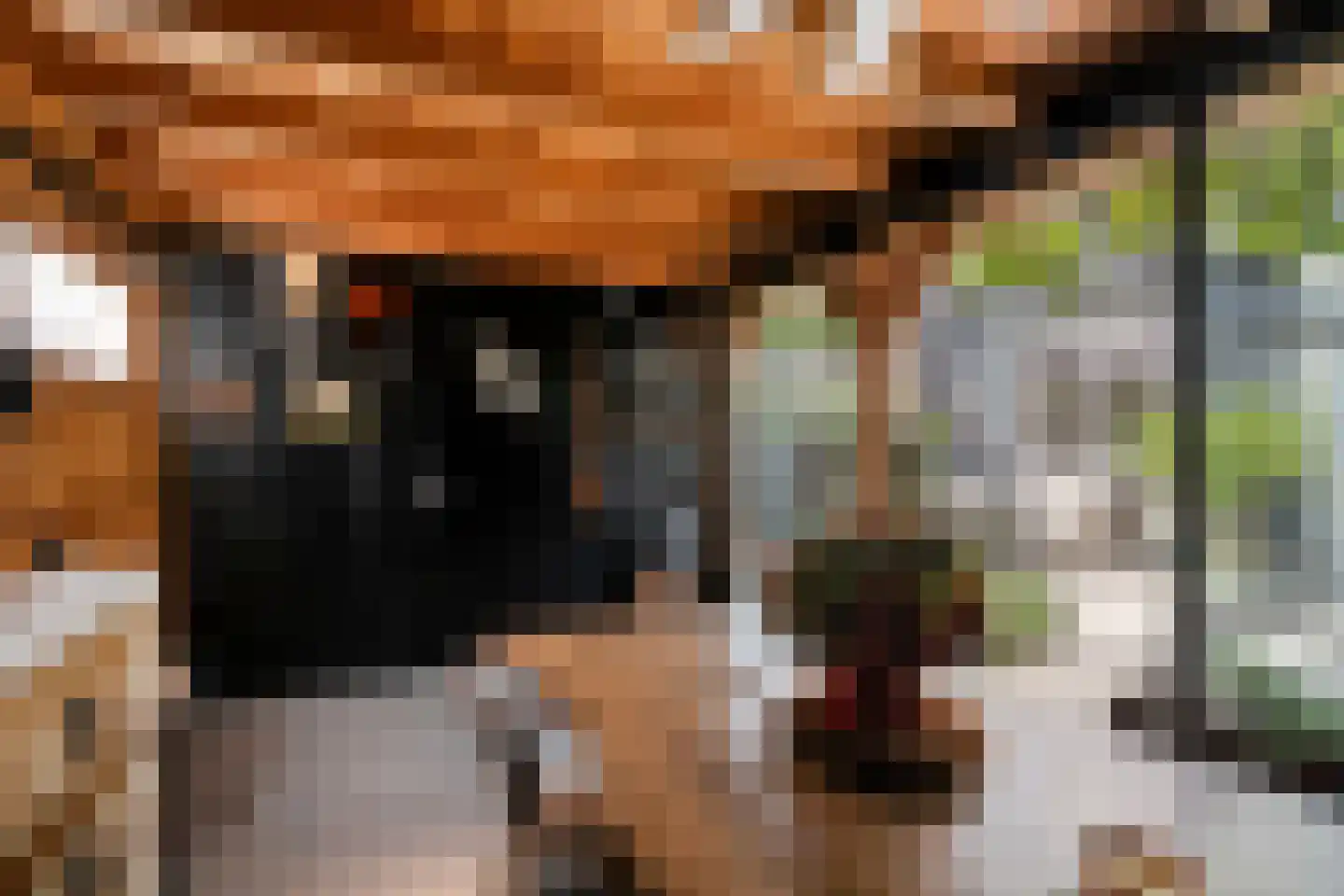 Het Penseel 29 Dronten thumbnail 43