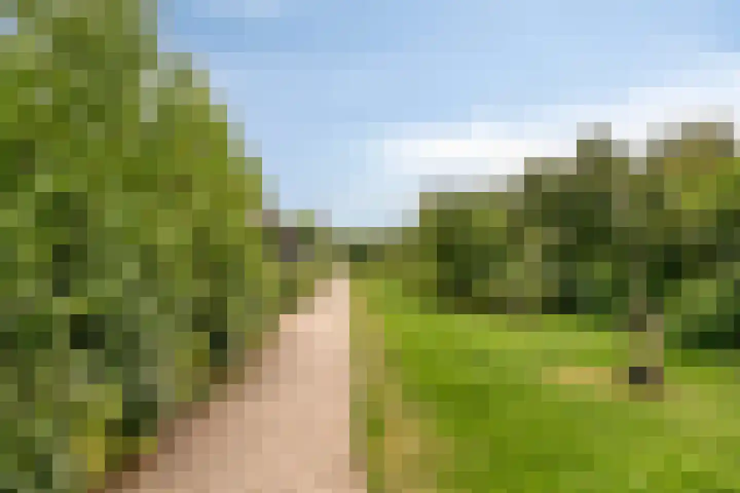 Het Penseel 29 Dronten thumbnail 51