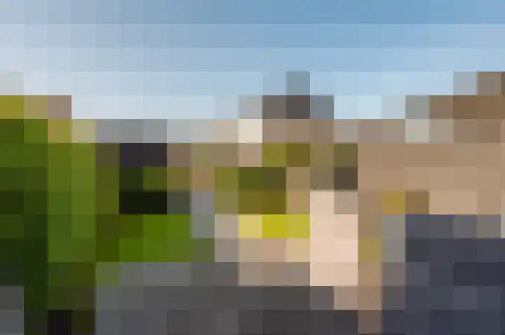 Het Penseel 34 Dronten thumbnail 31