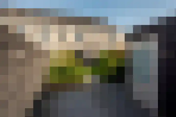 Het Penseel 34 Dronten thumbnail 33